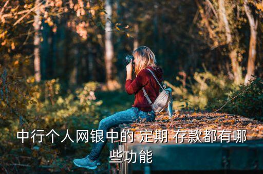 中行個人網(wǎng)銀中的 定期 存款都有哪些功能