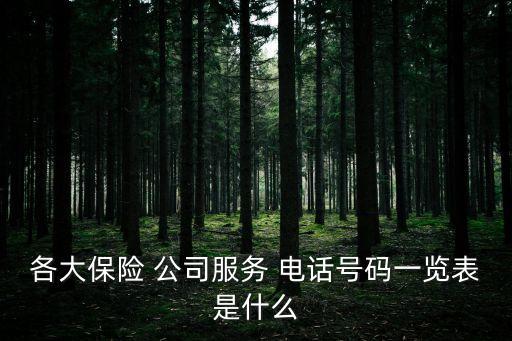 各大保險(xiǎn) 公司服務(wù) 電話號(hào)碼一覽表是什么