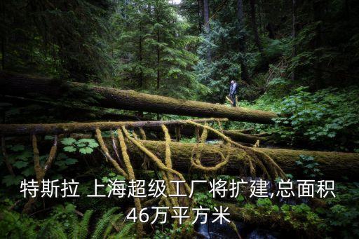 特斯拉 上海超級(jí)工廠將擴(kuò)建,總面積46萬(wàn)平方米