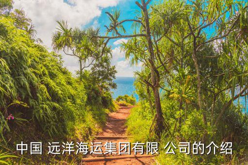 中國 遠(yuǎn)洋海運(yùn)集團(tuán)有限 公司的介紹