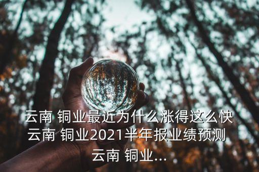  云南 銅業(yè)最近為什么漲得這么快 云南 銅業(yè)2021半年報(bào)業(yè)績(jī)預(yù)測(cè) 云南 銅業(yè)...