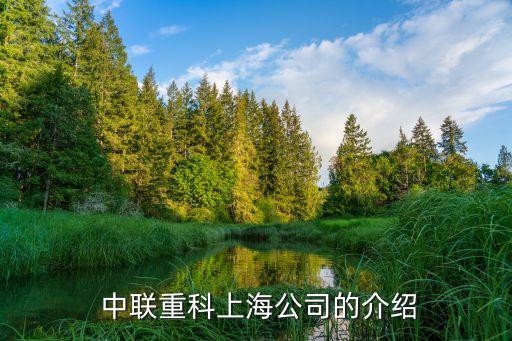 中聯(lián)重科股份有限公司下屬子公司,蕪湖中聯(lián)重科股份有限公司