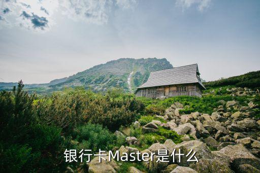  銀行卡Master是什么