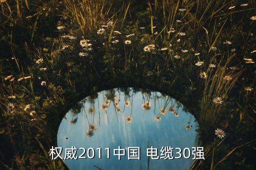 權(quán)威2011中國 電纜30強