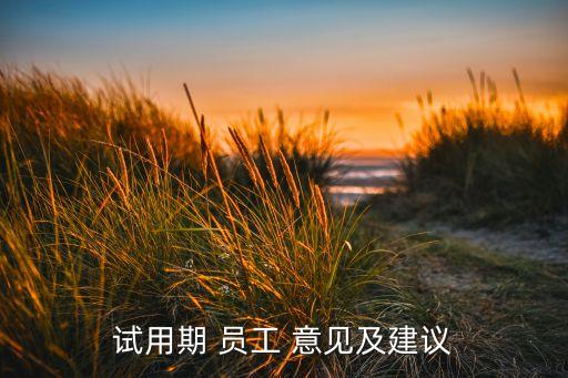 劃轉(zhuǎn)到在線服務(wù)公司員工意見