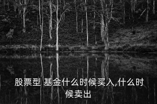 股票基金發(fā)行日購買,2023年6月股票基金發(fā)行份額