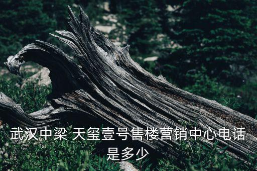 武漢中梁 天璽壹號(hào)售樓營(yíng)銷中心電話是多少