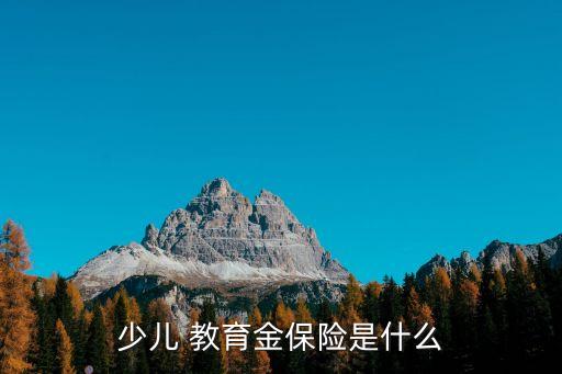 少兒 教育金保險(xiǎn)是什么