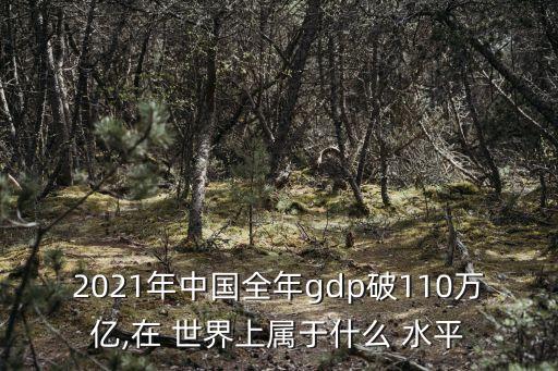 2021年中國全年gdp破110萬億,在 世界上屬于什么 水平