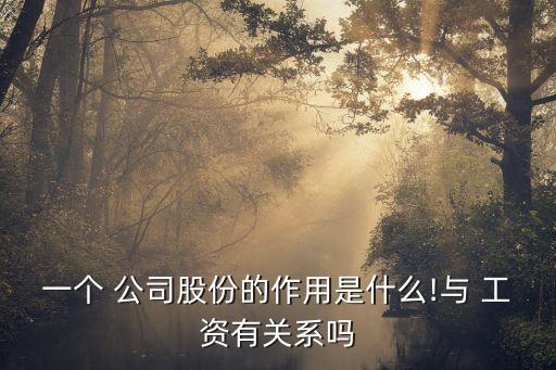 一個(gè) 公司股份的作用是什么!與 工資有關(guān)系嗎