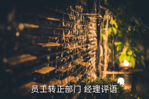 員工轉(zhuǎn)正部門 經(jīng)理評語