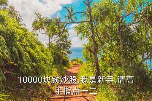 10000塊錢(qián)炒股,我是新手,請(qǐng)高手指點(diǎn)一二