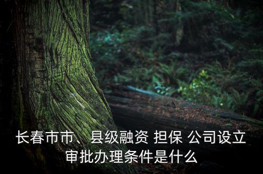 長春市市、縣級融資 擔保 公司設立審批辦理條件是什么