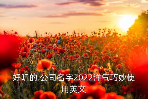 好聽的 公司名字2022洋氣巧妙使用英文