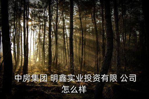  中房集團(tuán) 明鑫實(shí)業(yè)投資有限 公司怎么樣