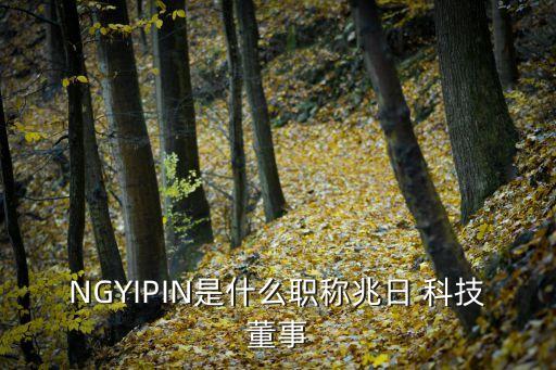 NGYIPIN是什么職稱兆日 科技董事