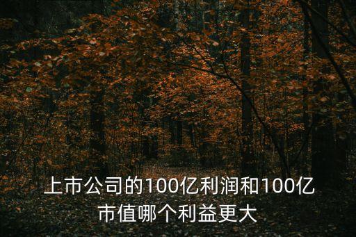  上市公司的100億利潤和100億市值哪個(gè)利益更大