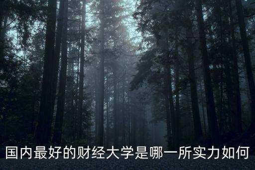 國內(nèi)最好的財(cái)經(jīng)大學(xué)是哪一所實(shí)力如何