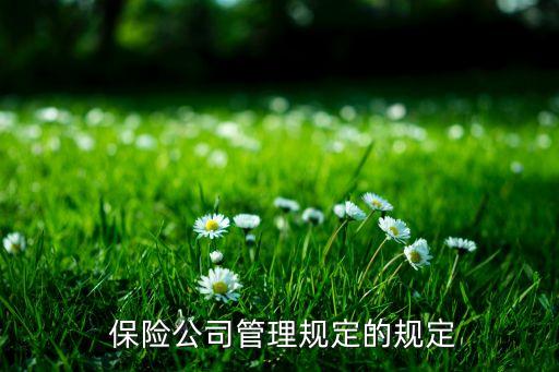  保險公司管理規(guī)定的規(guī)定