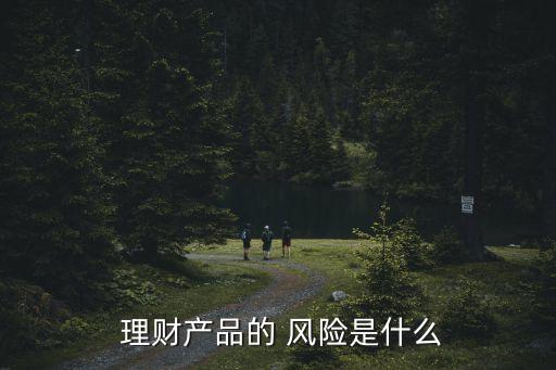  理財產(chǎn)品的 風險是什么