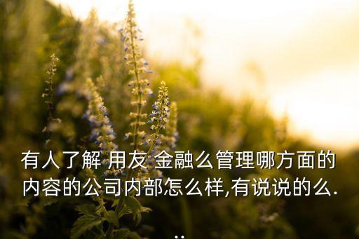 用友金融信息技術(shù)有限公司,云南熠輝信息技術(shù)有限公司與用友的關(guān)系