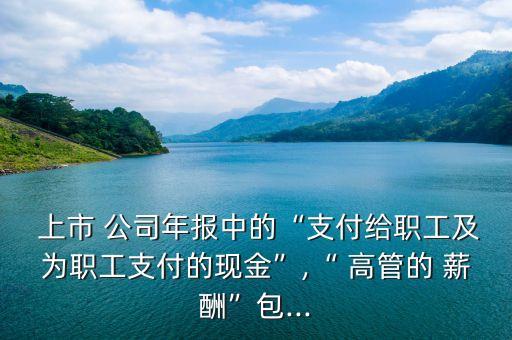  上市 公司年報(bào)中的“支付給職工及為職工支付的現(xiàn)金”,“ 高管的 薪酬”包...