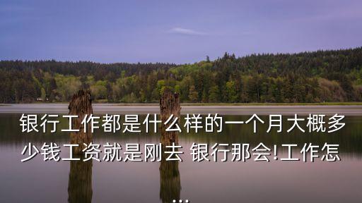  銀行工作都是什么樣的一個月大概多少錢工資就是剛?cè)?銀行那會!工作怎...