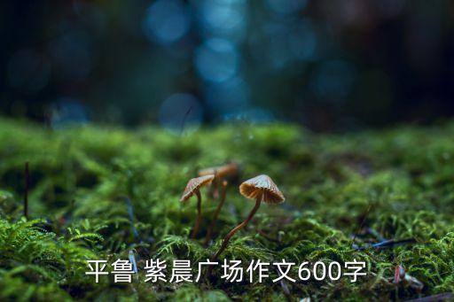 平魯 紫晨廣場(chǎng)作文600字