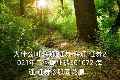 為什么叫 海通 證券 海通 證券2021年二季度業(yè)績301072 海通 證券診股同花順...