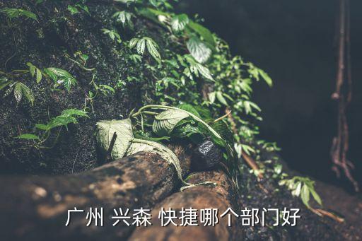  廣州 興森 快捷哪個部門好