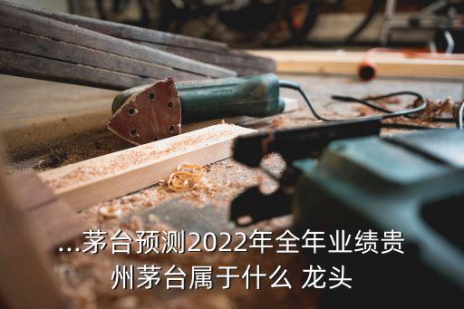 ...茅臺(tái)預(yù)測(cè)2022年全年業(yè)績(jī)貴州茅臺(tái)屬于什么 龍頭