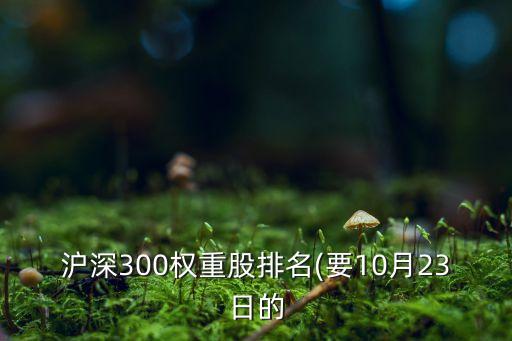 滬深300權(quán)重股排名(要10月23日的