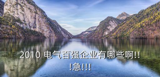 2010 電氣百強企業(yè)有哪些啊!!!急!!!