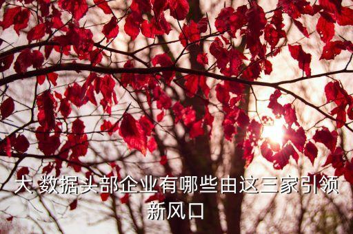 大 數(shù)據(jù)頭部企業(yè)有哪些由這三家引領(lǐng)新風(fēng)口