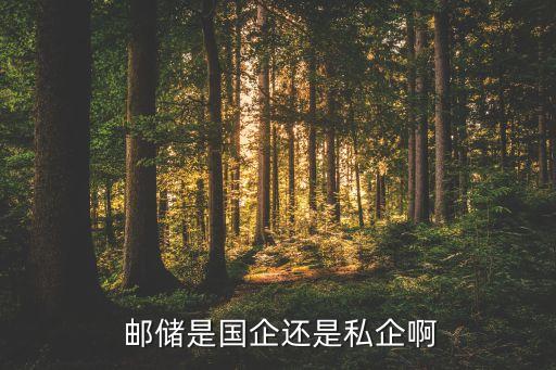  郵儲(chǔ)是國(guó)企還是私企啊