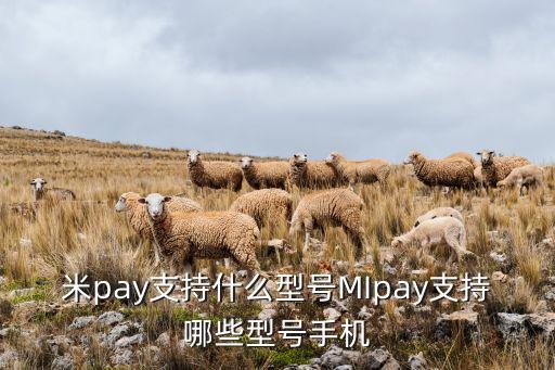 米pay支持什么型號MIpay支持哪些型號手機(jī)