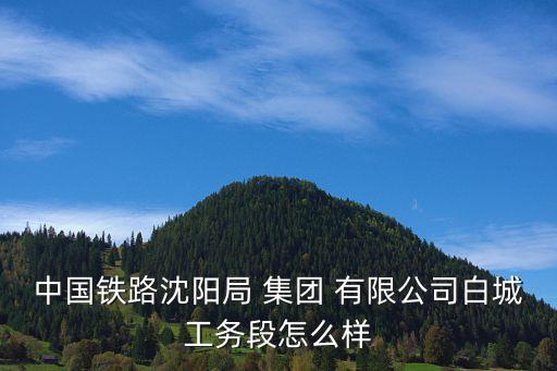 中國鐵路沈陽局 集團(tuán) 有限公司白城工務(wù)段怎么樣