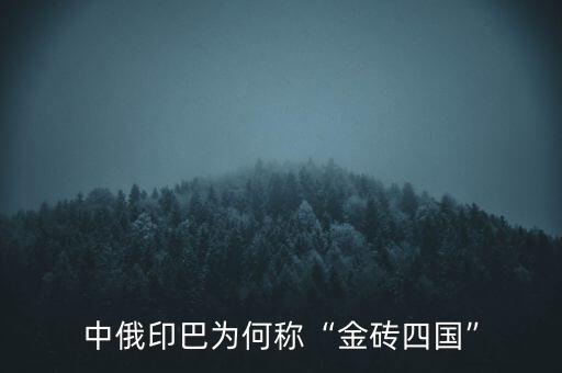 中俄印巴為何稱“金磚四國”