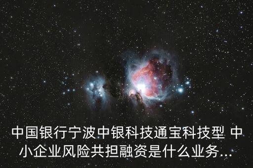 中國銀行寧波中銀科技通寶科技型 中小企業(yè)風(fēng)險共擔(dān)融資是什么業(yè)務(wù)...