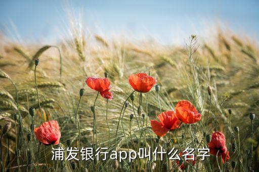  浦發(fā)銀行app叫什么名字