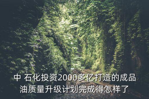 中 石化投資2000多億打造的成品油質(zhì)量升級(jí)計(jì)劃完成得怎樣了