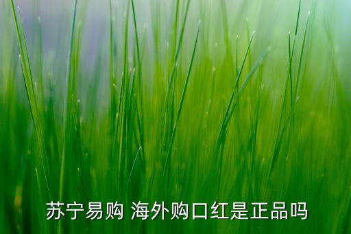 蘇寧海外公司,蘇寧公司存在的問題及對(duì)策