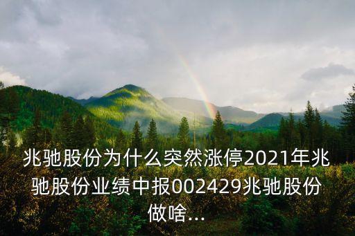 兆馳股份為什么突然漲停2021年兆馳股份業(yè)績(jī)中報(bào)002429兆馳股份做啥...