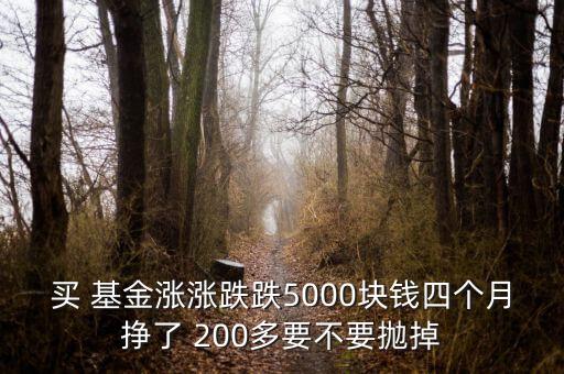 買(mǎi) 基金漲漲跌跌5000塊錢(qián)四個(gè)月掙了 200多要不要拋掉