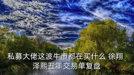 私募大佬這波牛市都在買什么 徐翔 澤熙五年交易單復(fù)盤