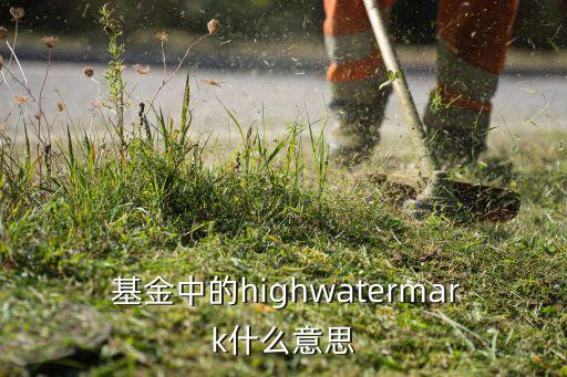  基金中的highwatermark什么意思