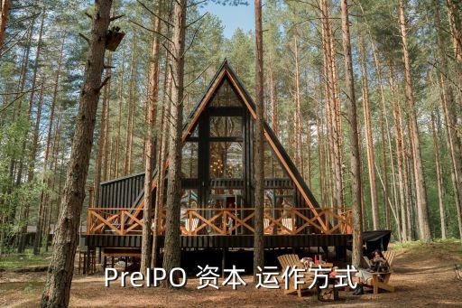 PreIPO 資本 運作方式