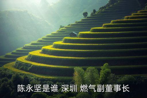 陳永堅(jiān)是誰(shuí) 深圳 燃?xì)飧倍麻L(zhǎng)