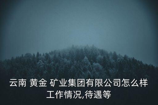 云南 黃金 礦業(yè)集團有限公司怎么樣工作情況,待遇等