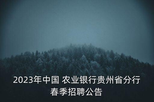 2023年中國 農(nóng)業(yè)銀行貴州省分行春季招聘公告